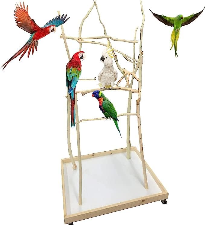 Поставка за папагали ExoticDad XS - Персонализиране на вашия курник Специално разработена Поставка за костур от естествен