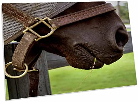 3. Муцуната на каишка за коне, сено, Трева - Подложки за работния плот (dpd-196157-1)