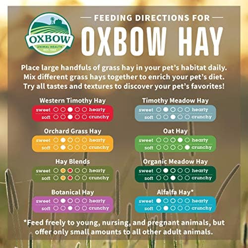 Ливада сено Oxbow Animal Health е Напълно Естествено Сено за Зайци, морски свинчета, чинчили, Хамстери и един gerbil - 15 грама.