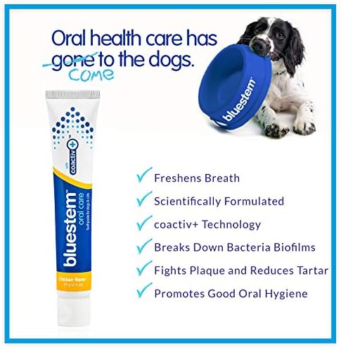 Паста за зъби за кучета: паста за зъби с вкус на пиле за кучета и котки. Почистващо средство за почистване на зъбите, освежаване на дъх