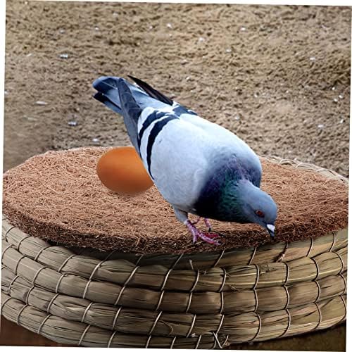 UPKOCH 1 Комплект Инкубационное Гнездо Яйце За Отглеждане на Папагали Аксесоари За Отглеждане на Птици Подложка За Гълъби Кутия За Люпене