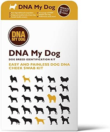Комплект за генетично тестване на Днк My Dog – за Идентифициране на смесени породи, Личностни черти – от малки до възрастни