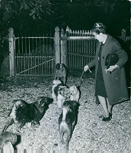 Реколта снимка на г-жа Бедфорд със своите кучета.