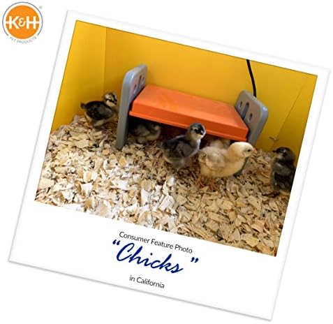 K&H Pet Products Термо-една квачка за Пилета, Нагревател за Пилета, Чиния за брудера за Пилета, по-Безопасна алтернатива