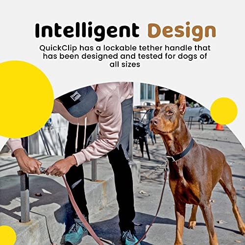 QuikClip - Кожена каишка за кучета DoggyTether с запирающейся дръжка, здрава и мека Кожена каишка за кучета от тежка рамка на