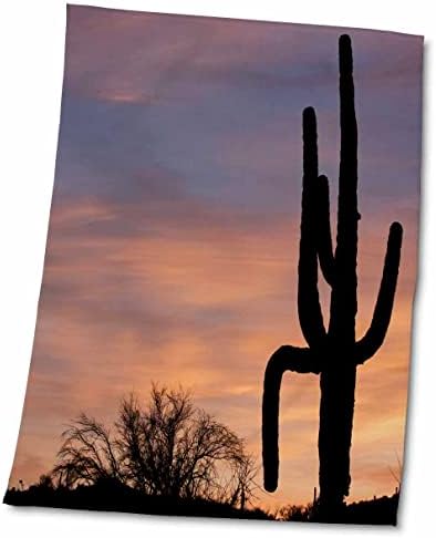 3дРоуз, САЩ, Аризона, Tonto NF, saguaro на залез слънце. - Кърпи (twl-190507-3)