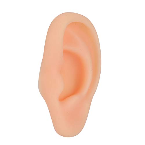 Професионални модели за Акупунктура уши, Имитация на Реална форма на Ухото за тренировки (в Ляво)