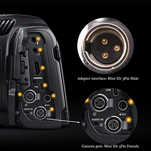 HUALEU аудио кабел за микрофон със завъртане на 90 Градуса Mini XLR Male-XLR Male Micphone, Mini XLR 3pin Male-3pin XLR Male 1FT за BMPCC Камера за 4K 6K Video Assist 4K Sharp 8K