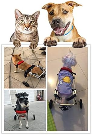 Инвалидна Количка за кучета QingYi, Регулируеми Колела За упражнения с Животни, Количка за Домашни Любимци, Инвалидна Количка за Задните