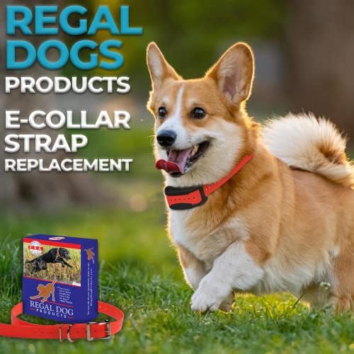 Подмяна на въжета за електронни яка Regal Dog Products | Черен водоустойчив каишка за подмяна на яката ширина 1 сантиметър,