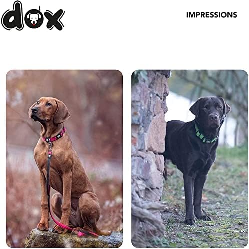 Нашийник за кучета DDOXX Airmesh - Трайни и Регулируеми Нашийници за Кучета - S (Жълт)
