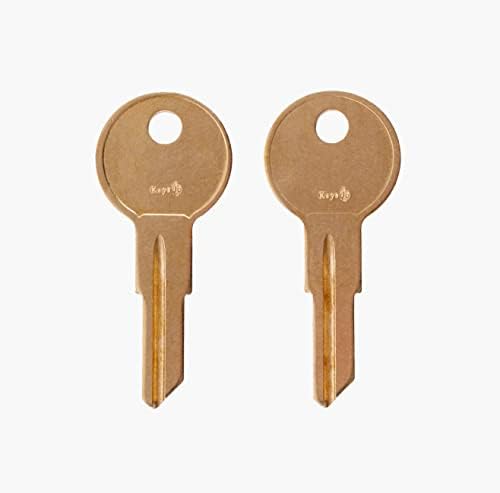CH509 Двойка от 2 сменяеми ключове за брави с код CH509, вырезанным код keys22 (ch509)