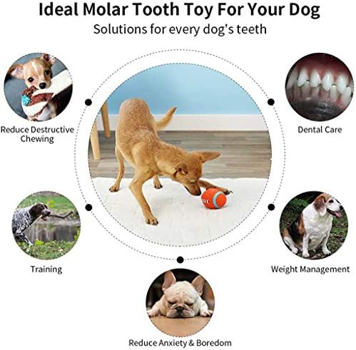FEGOCLT Устойчиви на Укусам Играчки за Кучета от Малки, Средни и Големи Кучета Безопасни Играчки за Дъвчене за Домашни Любимци Надуваем