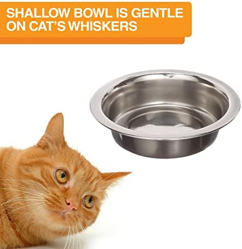 Neater Express Устройство за котки - Пиенето за домашни любимци с мисками за храна и вода от неръждаема стомана, защитена от попадане на