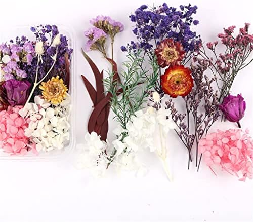 ZYJBM 4 Кутия за Сухи Цветя Декоративна Смола Истински Сушени Растения, Изработване на Рамки за снимки Сувенирное Занаят САМ Аксесоари