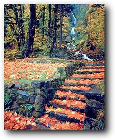 Водопад И Падналите Есенни листа, за Стъпките На Пейзаж, Картина на Природата Стенен Декор Художествена Печат на Плакат (16x20)