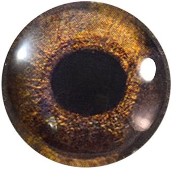 очите на Ястреб 30мм единична Стъклена за Скулптури Таксидермии или бижута Като Занаяти