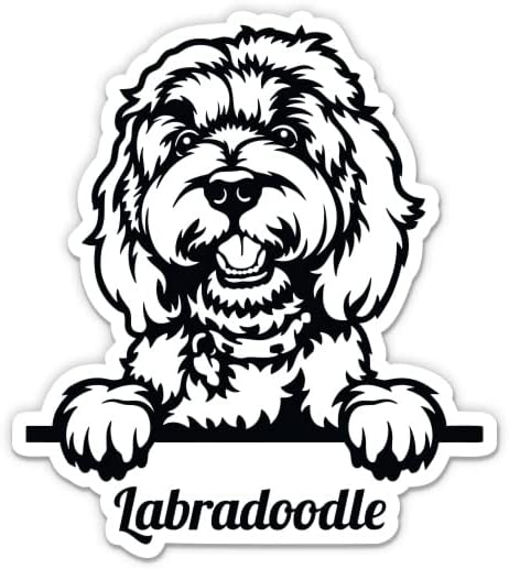 Стикер Labradoodle - 3 Стикер за лаптоп - Водоустойчив Винил за колата, телефон, Бутилки с вода - Стикер за кучета Labradoodle