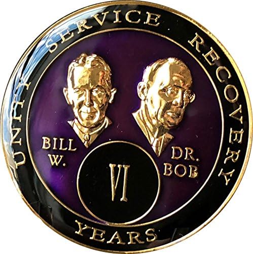 6-годишният медальон AA лилав цвят с три тарелками за основателите на Bill & Bob Чип VI