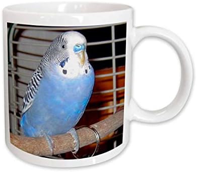 3дрозные птици - Син папагал - Чаши (mug_983_1)