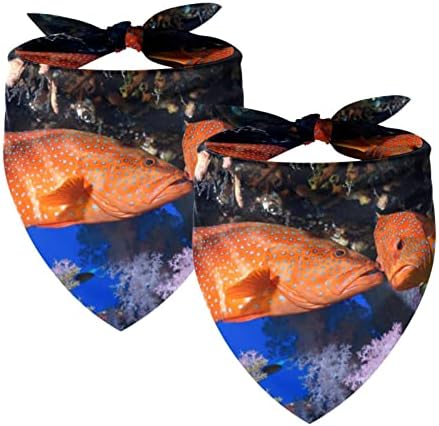 Риба градините или коралово море, океан от 2 опаковки bandhan за кучета регулируема засаждане предлагани от аксесоари, украса
