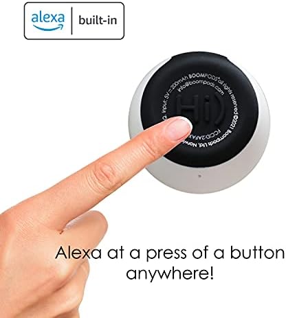 Bluetooth-високоговорител BoomPods Zero Talk - най-малките в света са Вградени водоустойчив мини-колона Алекса и безжичен микрофон