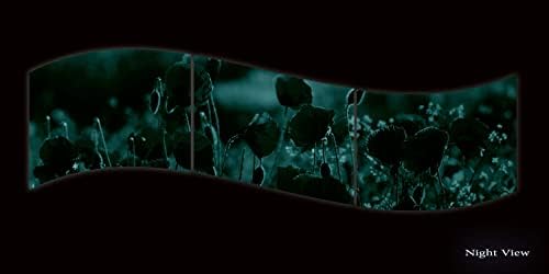 Стенно изкуство от акрил, стъкло Startonight - Poppy Спирала - Гланцово произведение на изкуството за домашен интериор, готов