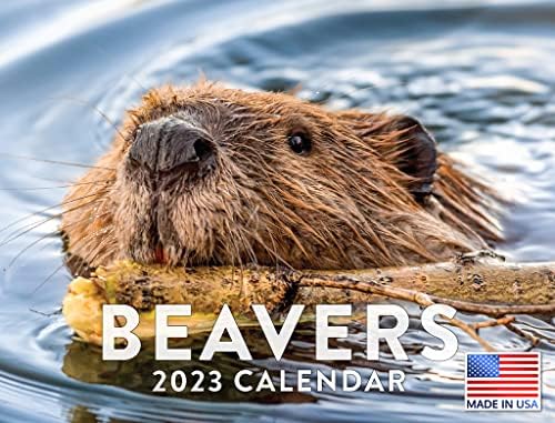 Календар Бобър към 2023 година Месечните Стенни Календари Диво Животно Дивата природа на Язовир Голям Планер На 24 месеца - Пълен