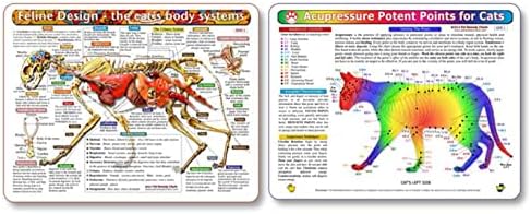 Kemah The Cat ' s Body Systems, Комплект за точков масаж - Двустранна ламинирана таблица: Учебна таблица