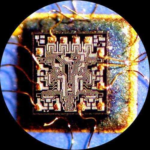 Цифров професионален тринокулярный стереоскопичен увеличение на микроскопа AmScope SM-6TZ-54S-10M, окуляры WH10x, 3,5-90-кратно увеличение,