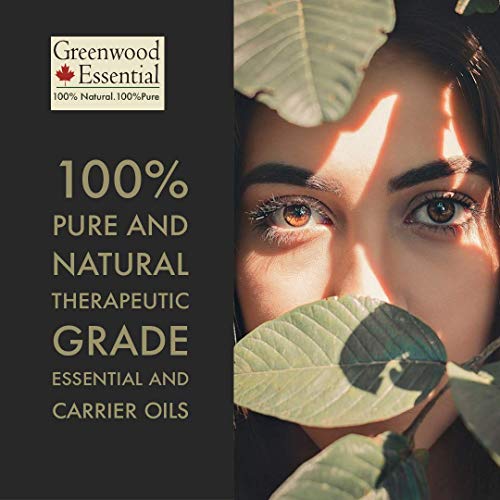 Етерично Чисто масло Шикакаи Greenwood (Acacia concinna) Натурален терапевтичен клас 1250 мл (42,2 унция)